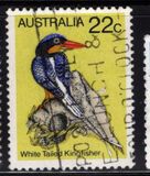 [Birds, tip TW]
