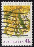 [Australia Day, 类型 AMZ]