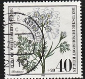 [Charity Stamps - Herbal Plants, type SR]