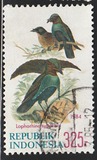 [Birds, tyyppi ARX]