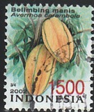 [Fruit, Typ CFK]