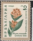 [Flowers, type AJU]