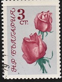 [Roses, тып APC]