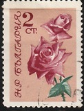 [Roses, тып APB]