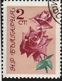 [Roses, тып APB]