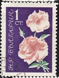 [Roses, тып APA]