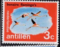 [Local Motifs, Tip GM]