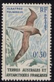[Birds and Coat of Arms, tegund H]