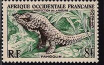 [Nature Conservation, Вид AX]