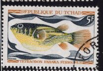 [Fish, type HQ]
