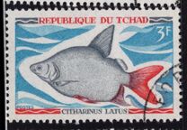 [Fish, type HP]