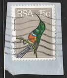 [Flora and Fauna, type NQ]