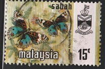 [Butterflies, type O]