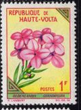 [Flowers, type BA]