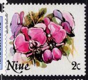 [Flowers, type LP]
