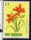 [Flowers, typ YF]