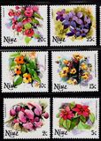 [Flowers, type LO]