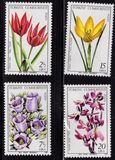 [Flowers, type BUJ]
