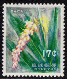 [Ryukyu Flowers, 类型 DB]