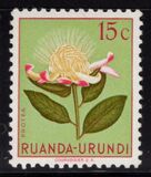 [Indigenous Flora, प्रकार AX]