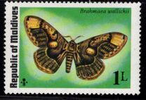 [Butterflies and Moth, type VL]