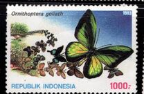 [Opening Ceremony of the Insectarium in Jakarta, Вид BDL]