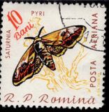 [Butterflies & Moths, type BTG]