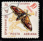 [Butterflies & Moths, type BTG]