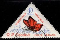 [Butterflies & Moths, Tipi BTI]
