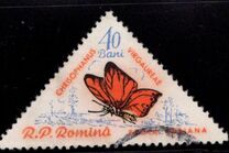 [Butterflies & Moths, Tipi BTI]