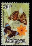 [Butterflies, type AT]