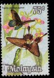 [Butterflies, type AV]