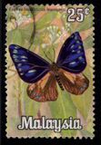 [Butterflies, type AS]