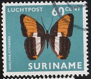 [Airmail - Moths and Butterflies, タイプ ADJ]
