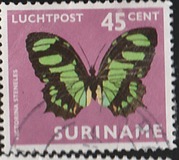 [Airmail - Moths and Butterflies, タイプ ADG]