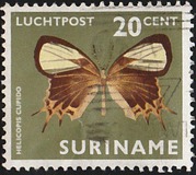 [Airmail - Moths and Butterflies, タイプ ADB]