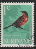 [Birds, Tipi WC]