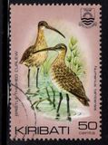 [Birds, ประเภท BR]