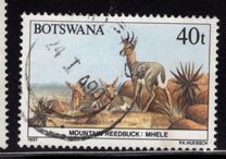 [Animals of Botswana, tegund PA]