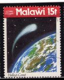 [Appearance of Halley's Comet, type OG]