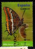 [Butterflies - Self Adhesive, Tip FTS]