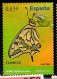 [Butterflies - Self Adhesive, Tip FTU]