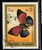 [Butterflies, Scrivi ABB]