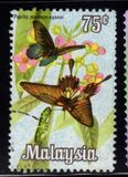 [Butterflies, type AV]