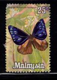 [Butterflies, type AS]