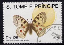 [Christmas - Butterflies, Tip AFI]