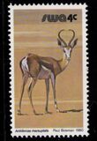 [Wild Mammals, type HL]