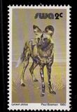[Wild Mammals, type HJ]