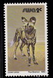 [Wild Mammals, type HJ]
