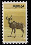 [Wild Mammals, type HN]